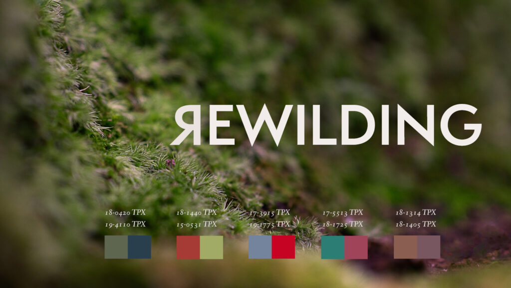 rewilding art design and culture trend 2022_cover
