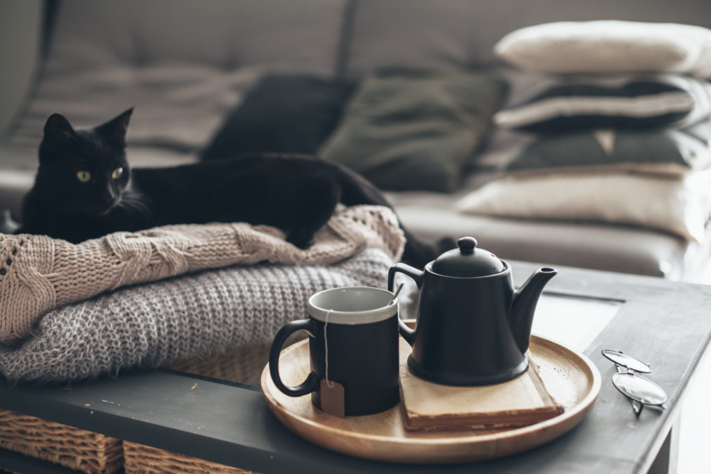 comfy-hygge-cat-the-ultimate-guide-to-staying-in.
