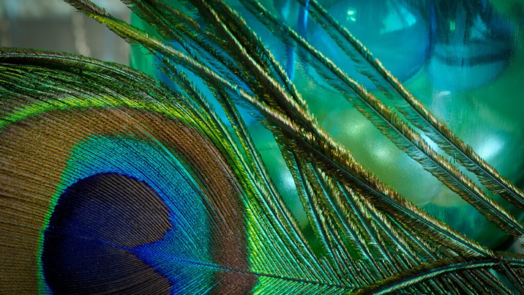 deep emerald peacock jewel tones